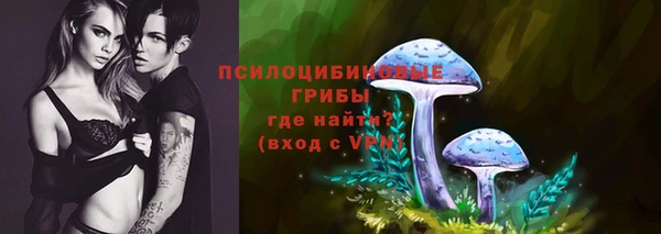 Альфа ПВП Арсеньев
