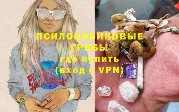 Альфа ПВП Арсеньев