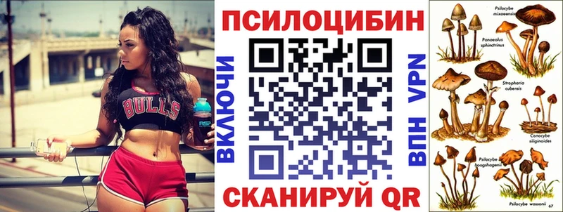 Псилоцибиновые грибы мицелий Выкса